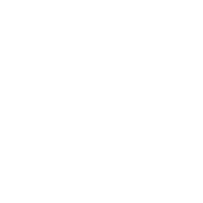 Spot